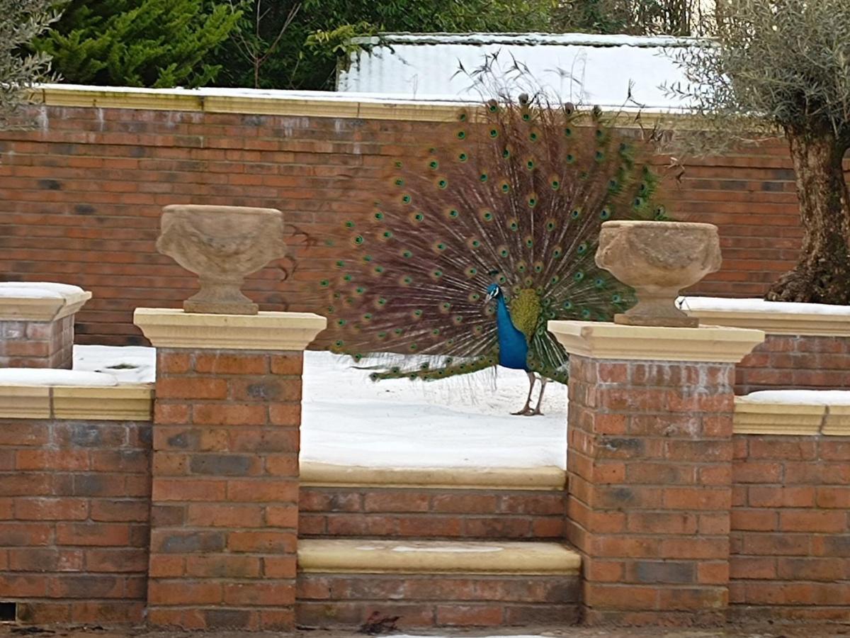 The West Wing At Eriviat Hall Hot Tub Henllan  Eksteriør billede